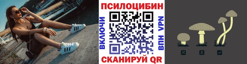 Псилоцибиновые грибы Magic Shrooms  продажа наркотиков  hydra зеркало  Избербаш 